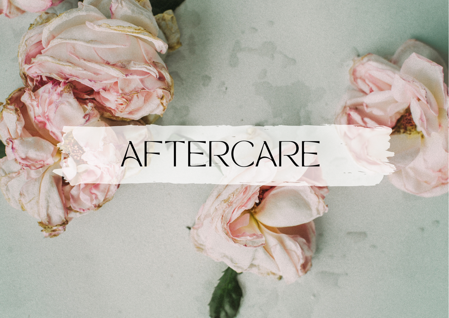 Starter Pack - Therapist Stationary Vintage Rose